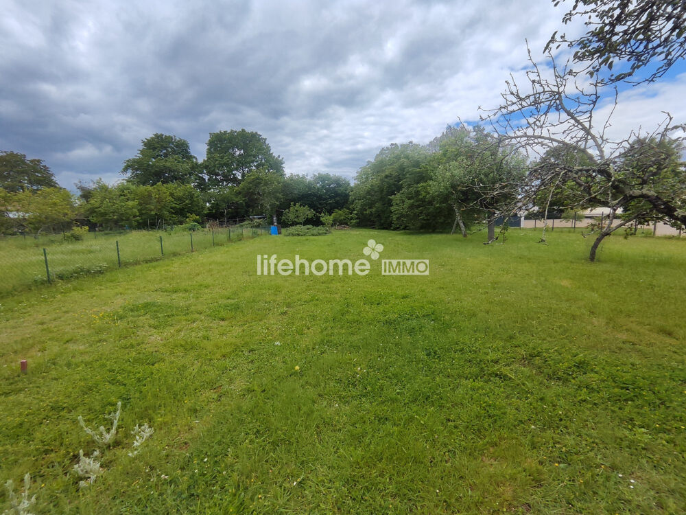 Vente Terrain TERRAIN CONSTRUCTIBLE 3 000 m² – ARDENTES – CALME ABSOLU ? Ardentes