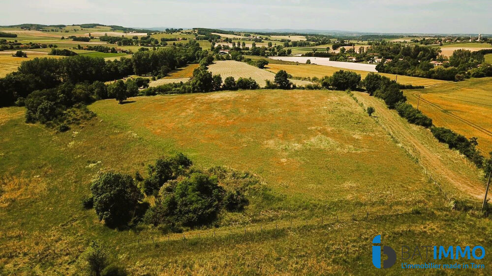 � vendre  Maison Albi (81000)