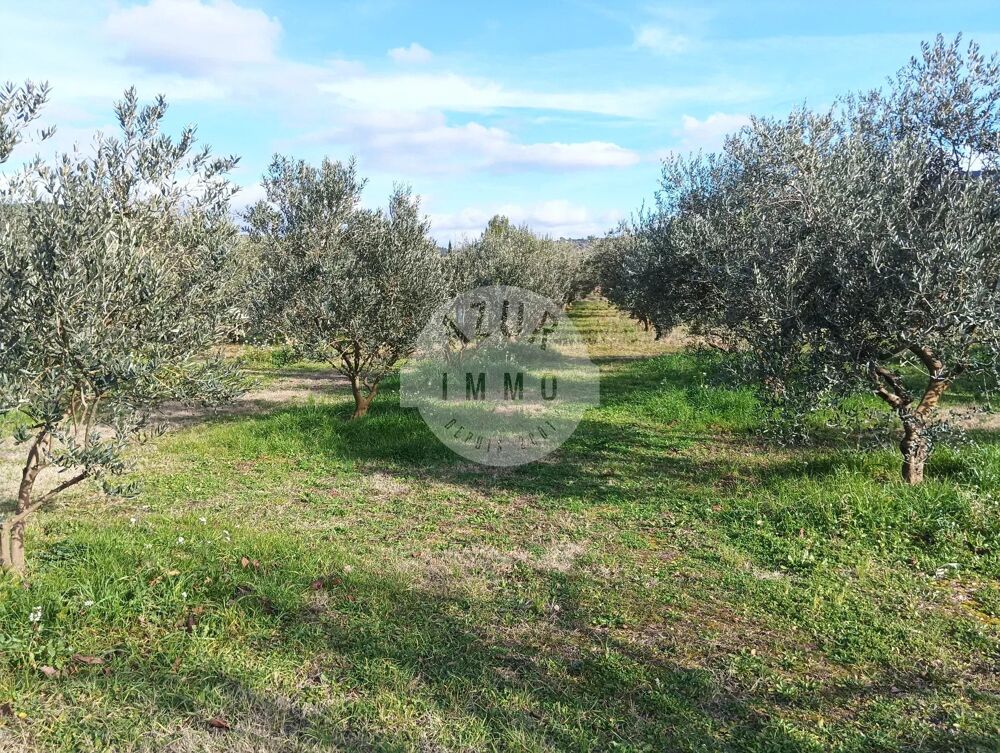 � vendre  Maison Saint-Zacharie (83640)