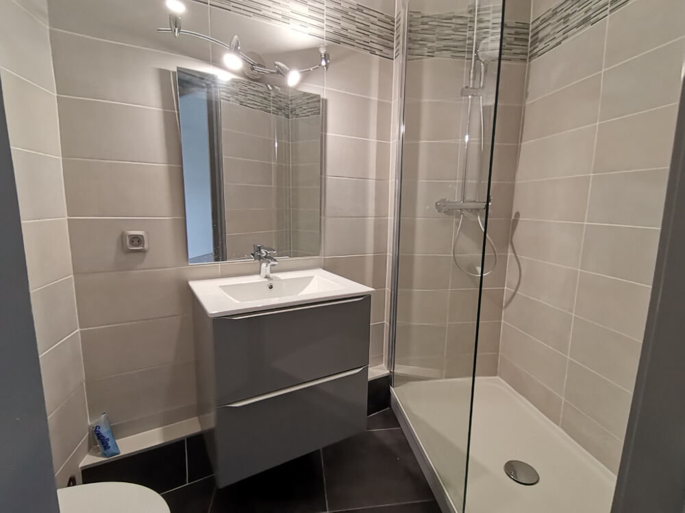 Appartement Saint Etienne 1 pièce 31 m2