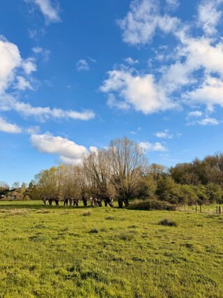  Terrain � vendre 23670 m�