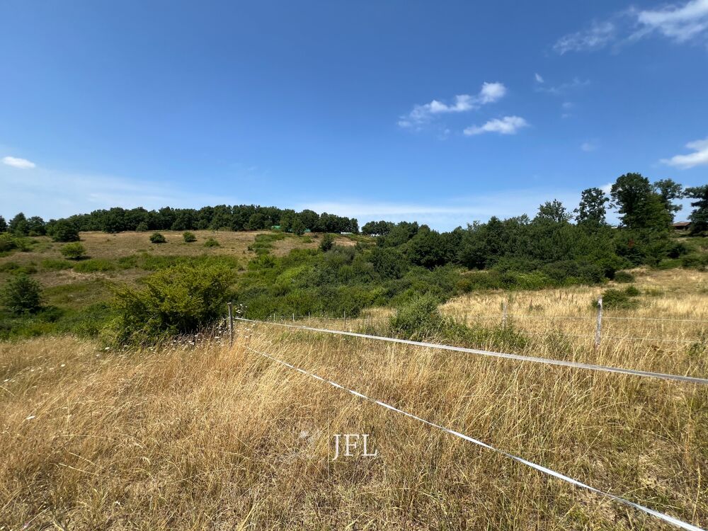 Vente Maison Propriété équestre sur 8 hectares ? Proche Montauban Castelsarrasin