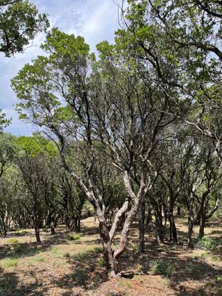  Terrain � vendre 25956 m�