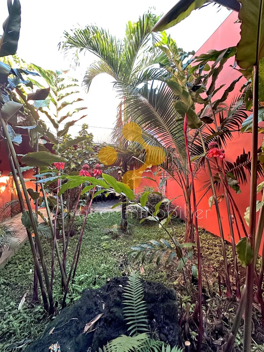 Vente Maison Tropicalement vôtre : Magnifique villa dans le Sud sauvage. Saint-philippe