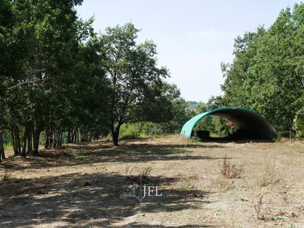 Vente Maison Propriété équestre sur 8 hectares ? Proche Montauban Castelsarrasin