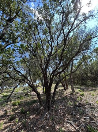  Terrain � vendre 25956 m�