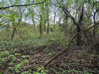  Terrain  vendre 1943 m