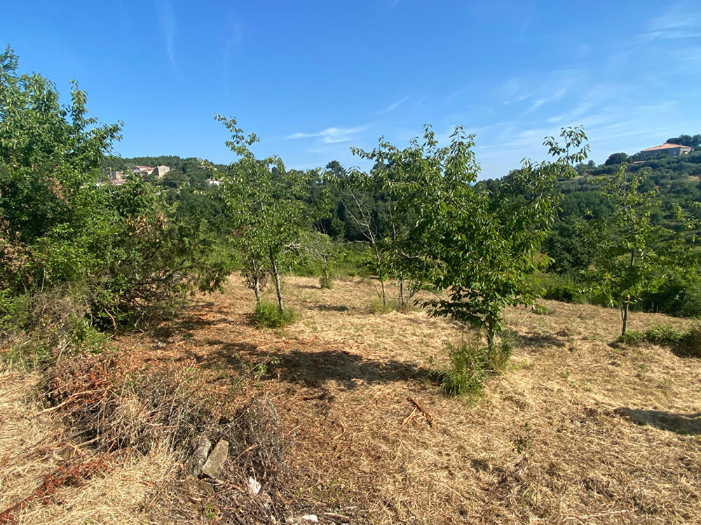 Vente Terrain Terrain - environnement magnifique Saint-paul-le-jeune