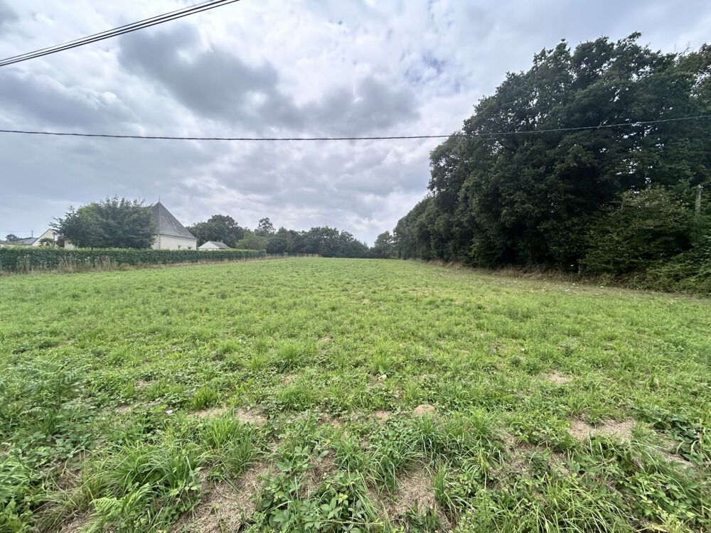 Vente Terrain Terrain Constructible � diviser Br�han