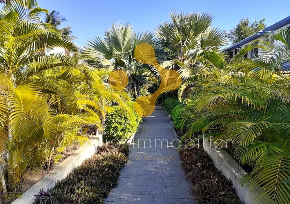 Vente Maison Baignade et cocotiers à la Saline Les Bains Saint-paul