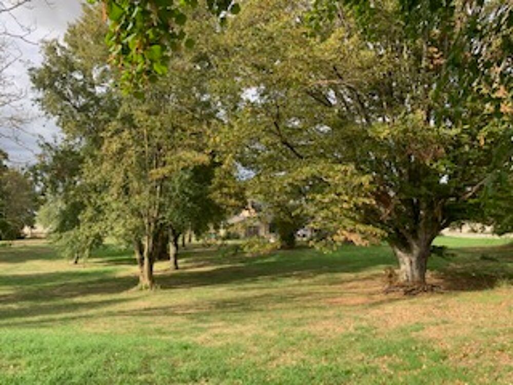Vente Maison Maison 7 pièces Villebourg Villebourg