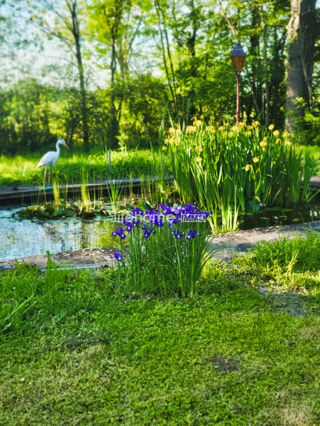  Maison � vendre 8 pi�ces 176 m�