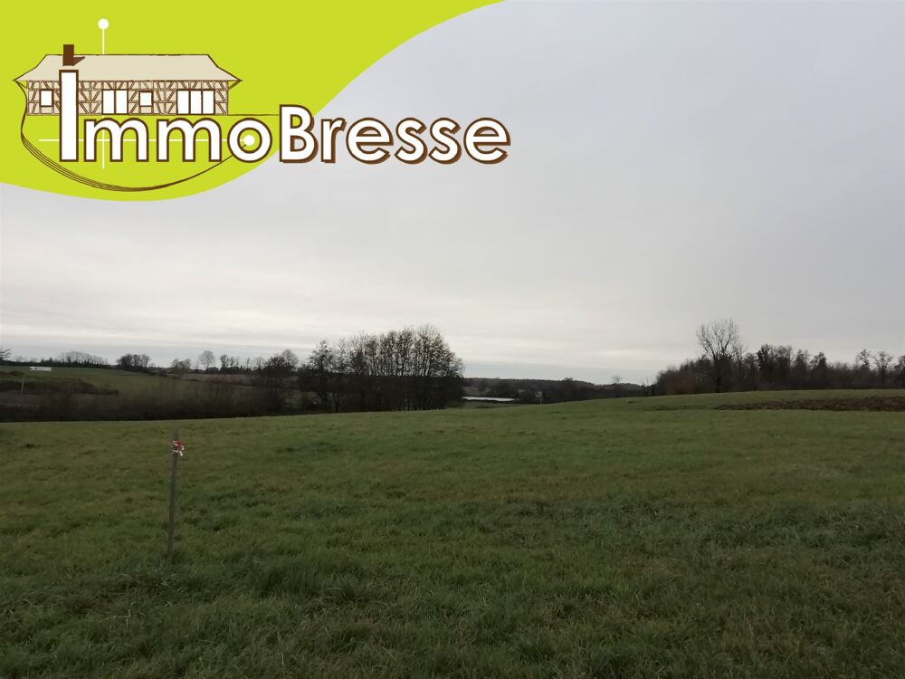 Vente Terrain St Trivier De Courtes - A Vendre Terrain Saint-trivier-de-courtes