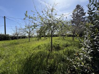  Maison à vendre 6 pièces 50 m²