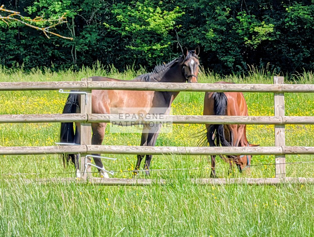 Propriété Equestre 3 habitations, écurie, 9000m2 de parcelles