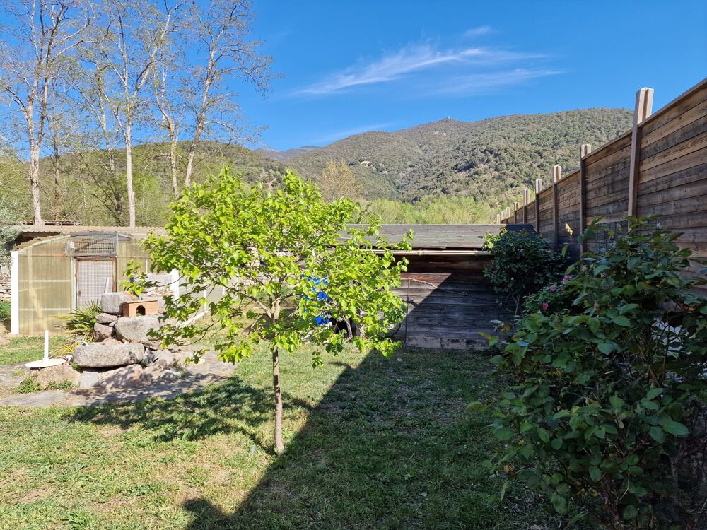 à vendre  Maison Arles-sur-Tech (66150)