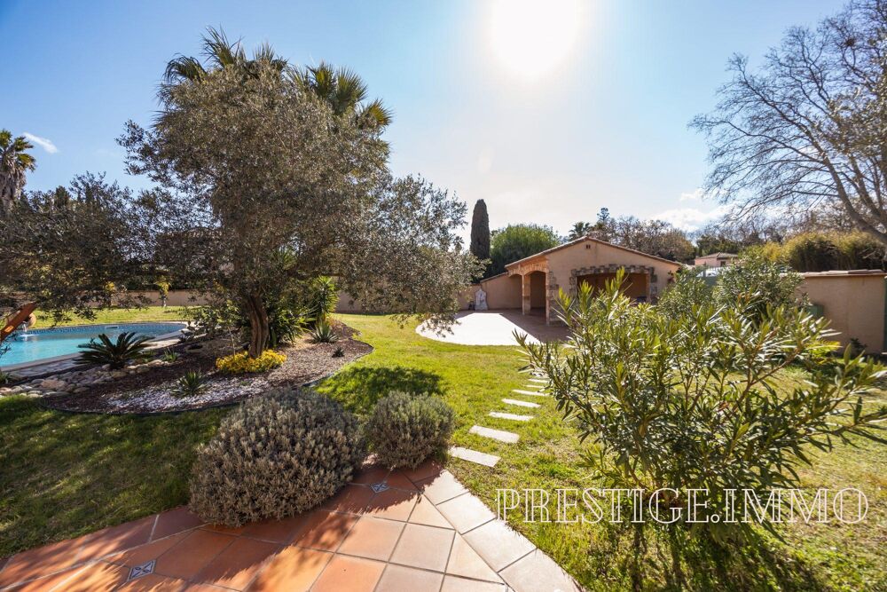 à vendre  Maison Saint-Cyprien (66750)