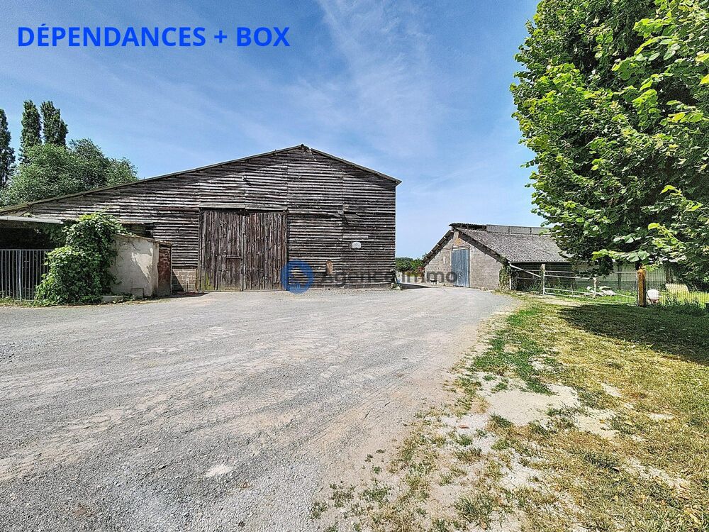 à vendre  Maison Neuillé-Pont-Pierre (37360)