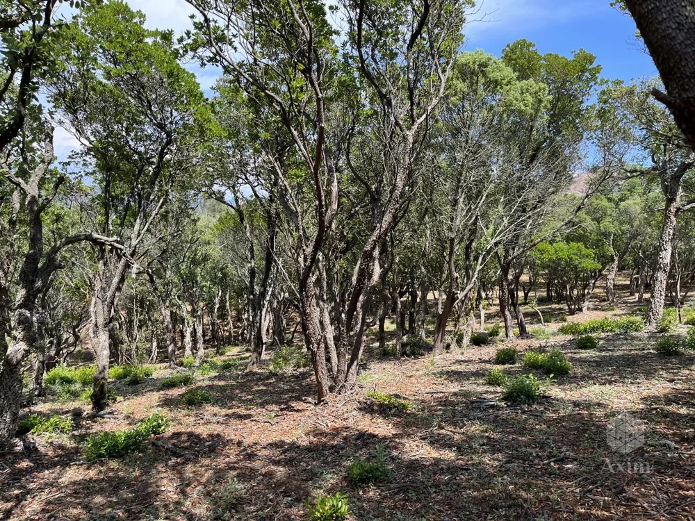 Vente Terrain Terrain non constructible Massif de l'Esterel Saint-raphaël