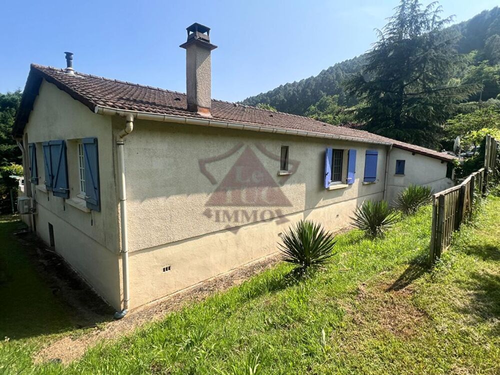 Maison avec grand terrain