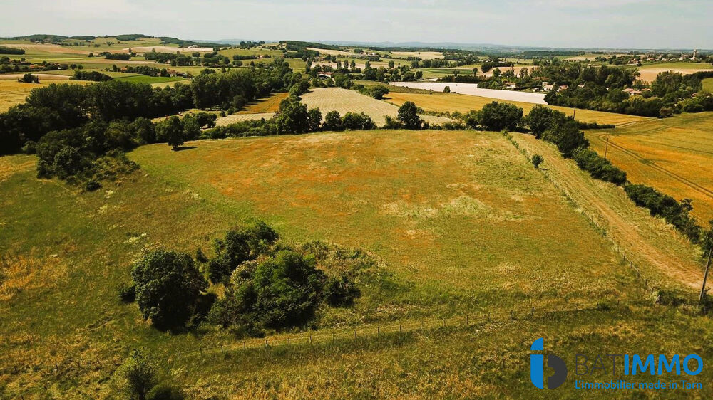 � vendre  Maison Albi (81000)