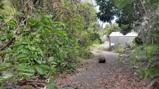 Vente Terrain Magnifique terrain Plat de 600 m² Saint-louis