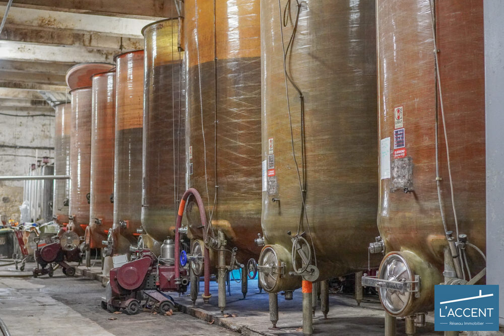 � vendre  Propri�t�/ch�teau Montpellier (34000)