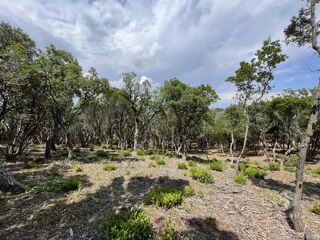  Terrain � vendre 25956 m�