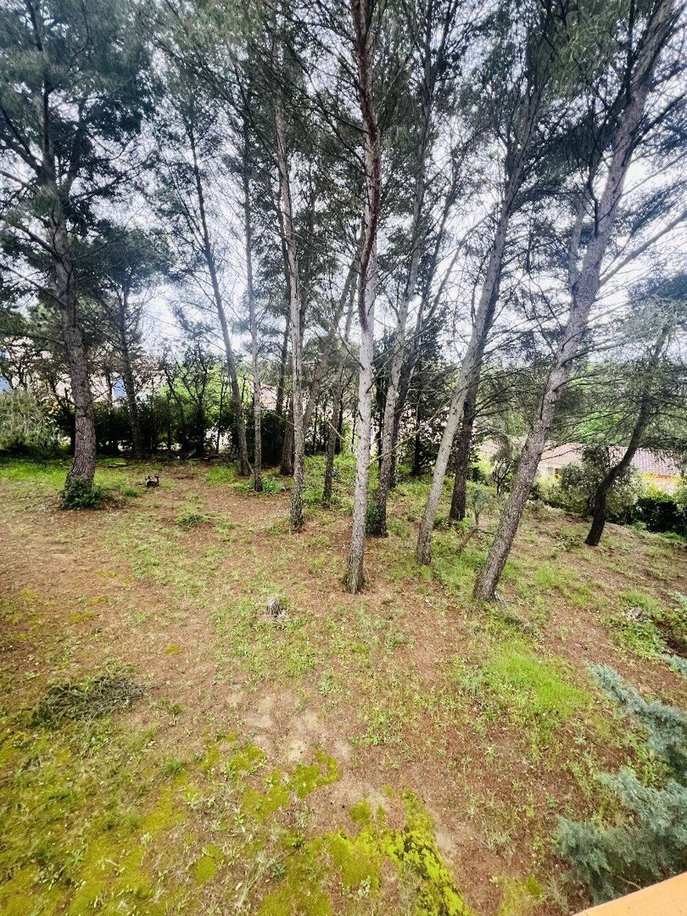 � vendre  Maison P�zenas (34120)