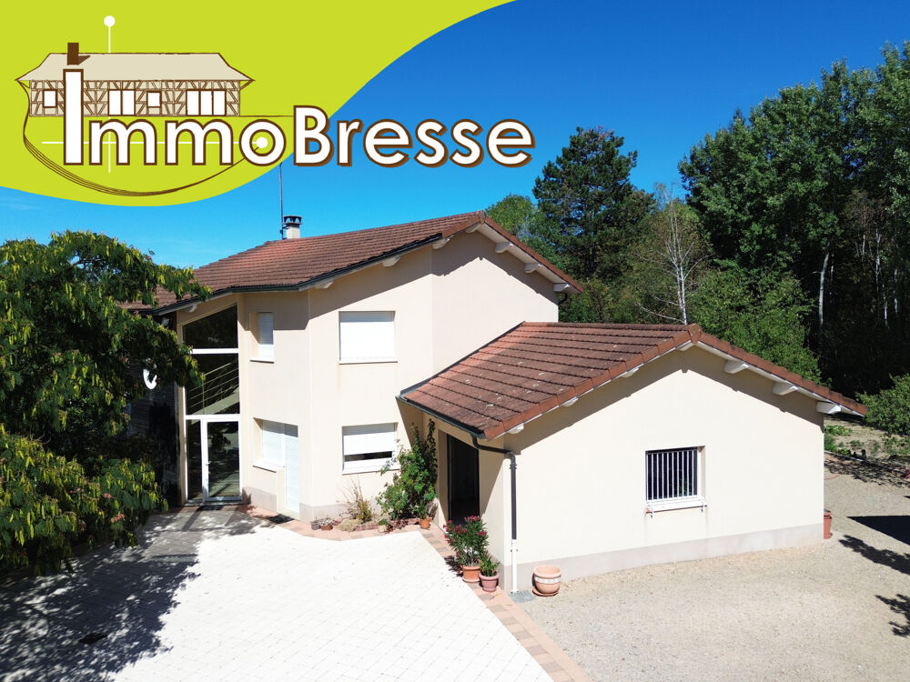 Viriat - A Vendre Villa