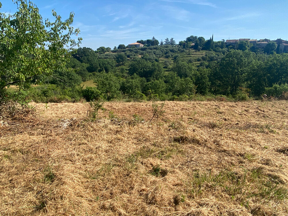 Vente Terrain Terrain - Jolie environnement Saint-paul-le-jeune