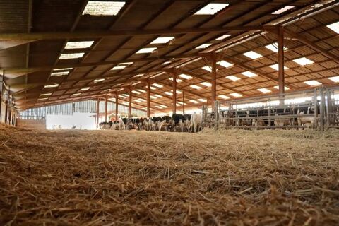 ???????? DOMAINE AGRICOLE D'EXCEPTION - EXPLOITATION LAITI&Egrave;RE CL&Eacute; EN M 1900000 55160 Fresnes-en-woëvre