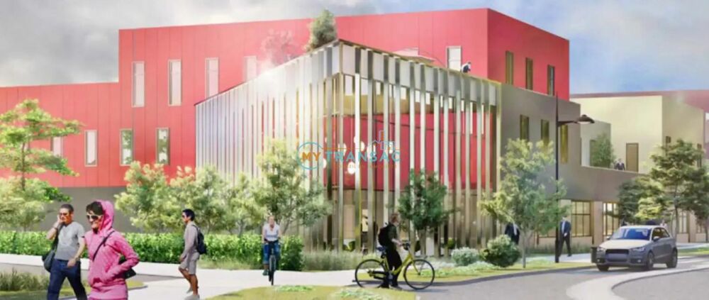   Local d'activité 