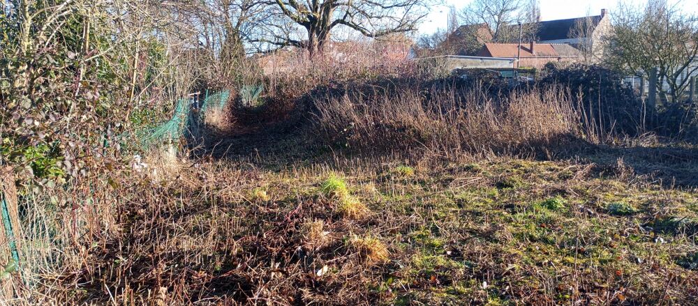 Vente Immeuble commerce Flers-en-escrebieux