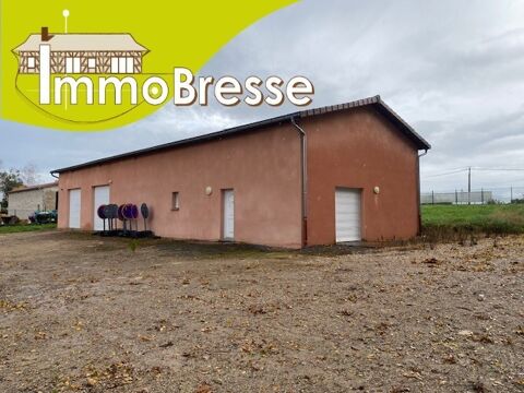 Marboz - A louer - B&acirc;timent artisanal 1600 01851 Marboz