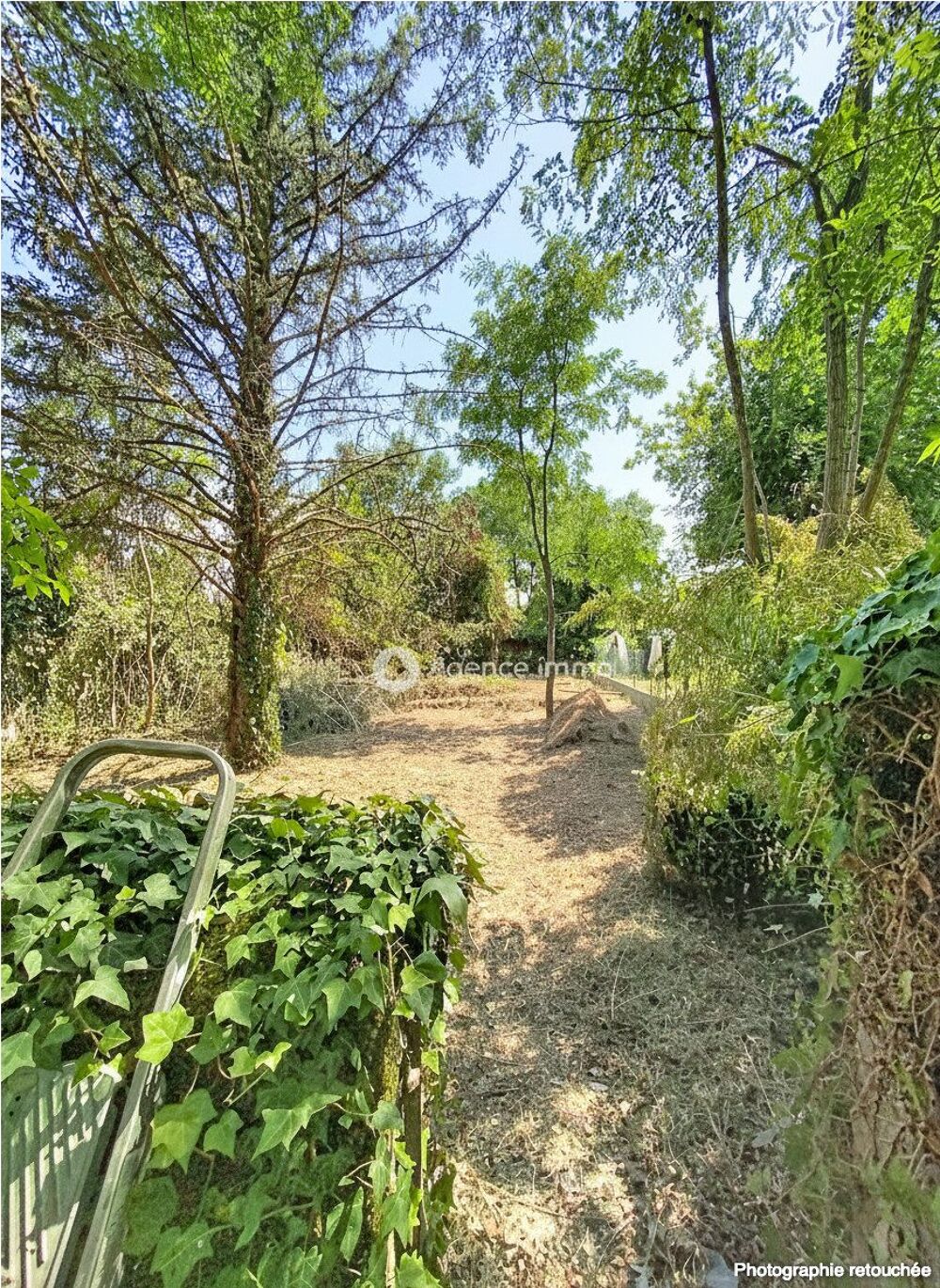 Vente Maison Exclusivité maison de charme ! Cléré-les-pins