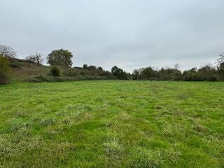  Terrain  vendre 98000 m