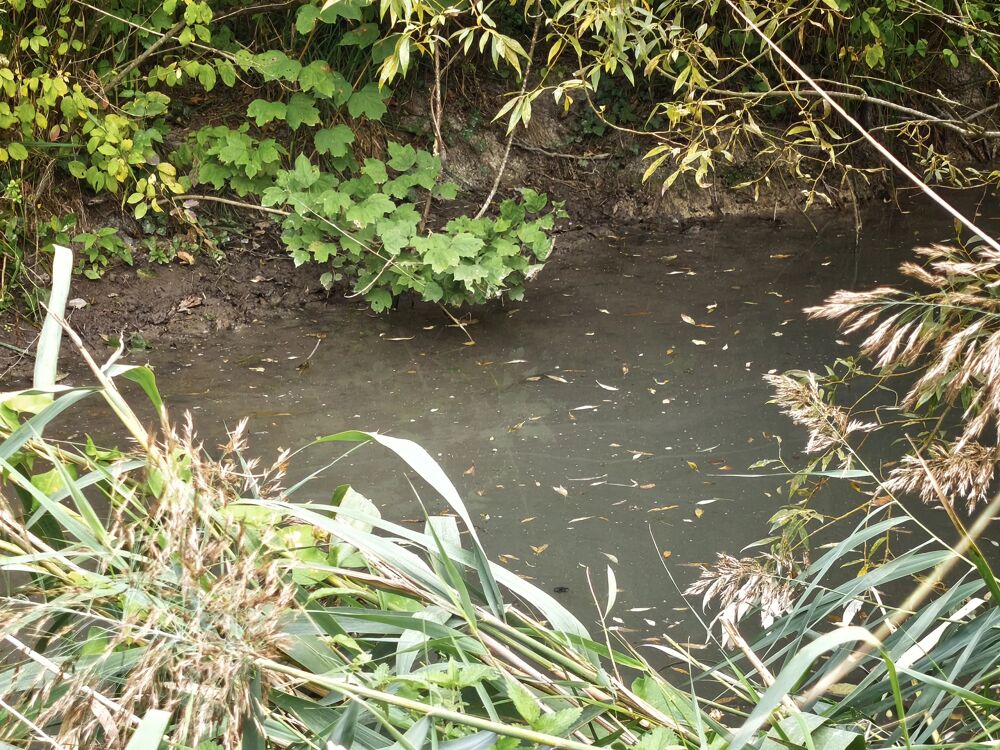 Vente Terrain Terrain constructible VIABILISE de 2370 m². Sermaize-les-bains