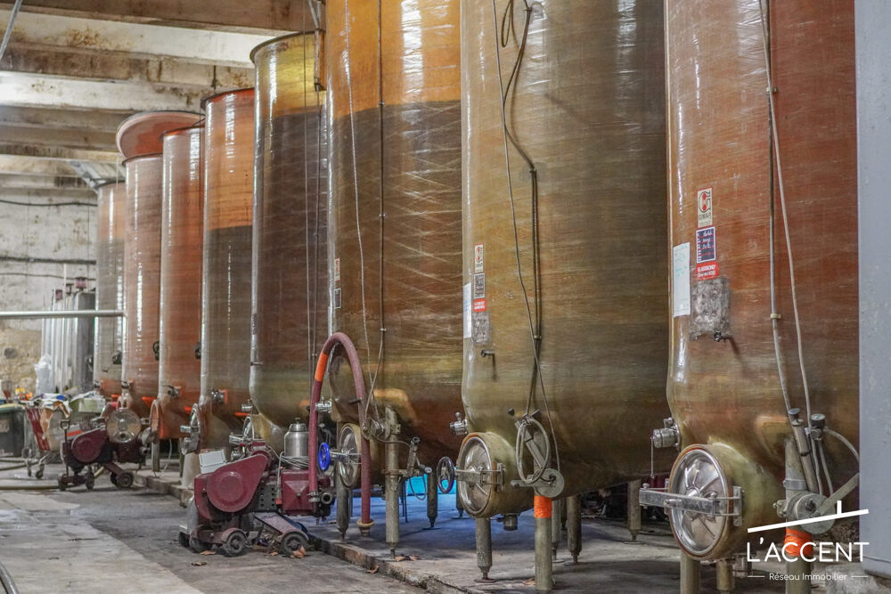  vendre  Proprit/chteau Montpellier (34000)