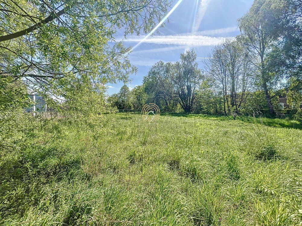 Vente Terrain Terrain viabilisé avec cadre verdoyant Lallaing