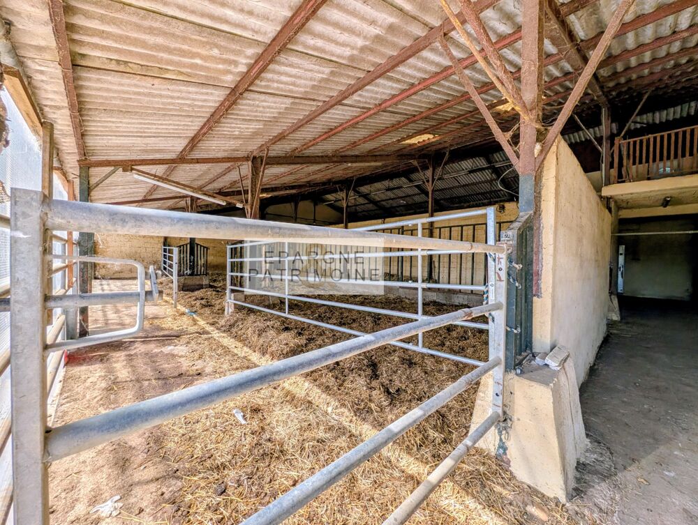 Propriété Equestre 3 habitations, écurie, 9000m2 de parcelles
