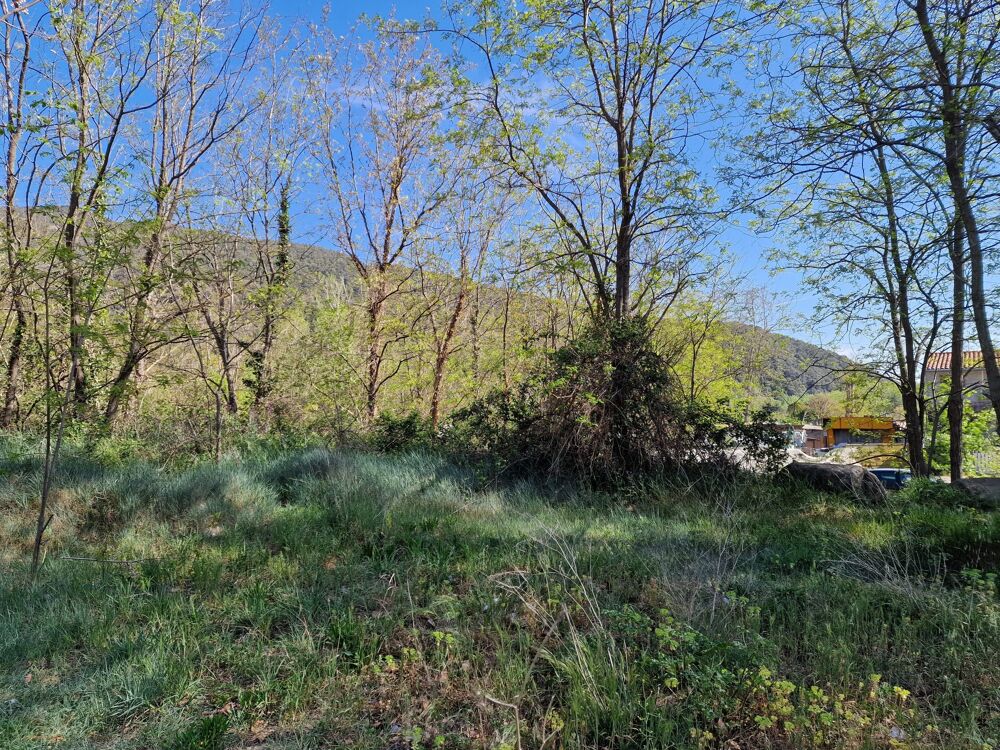 à vendre  Maison Arles-sur-Tech (66150)