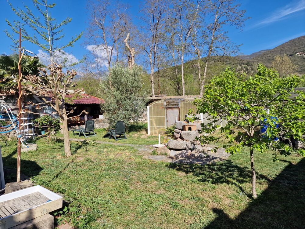 à vendre  Maison Arles-sur-Tech (66150)
