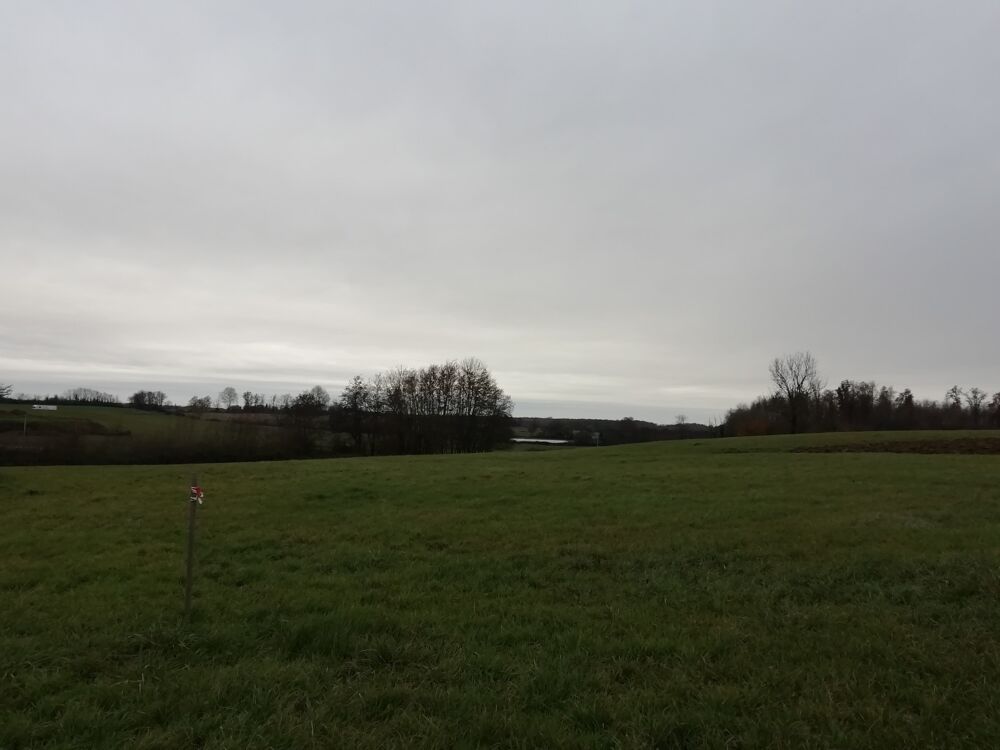 Vente Terrain St Trivier De Courtes - A Vendre Terrain Saint-trivier-de-courtes