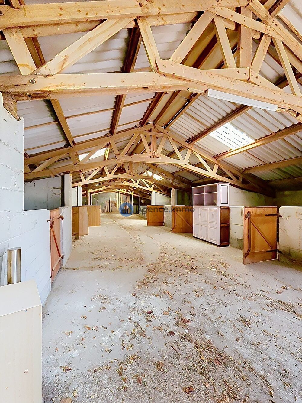 à vendre  Maison Neuillé-Pont-Pierre (37360)