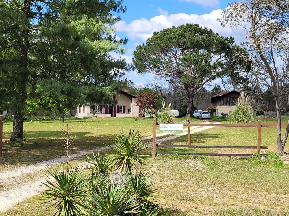 Vente Maison Airial landais avec Ferme landaise - Maison - Bergerie - 3,7 hectares Saint-justin