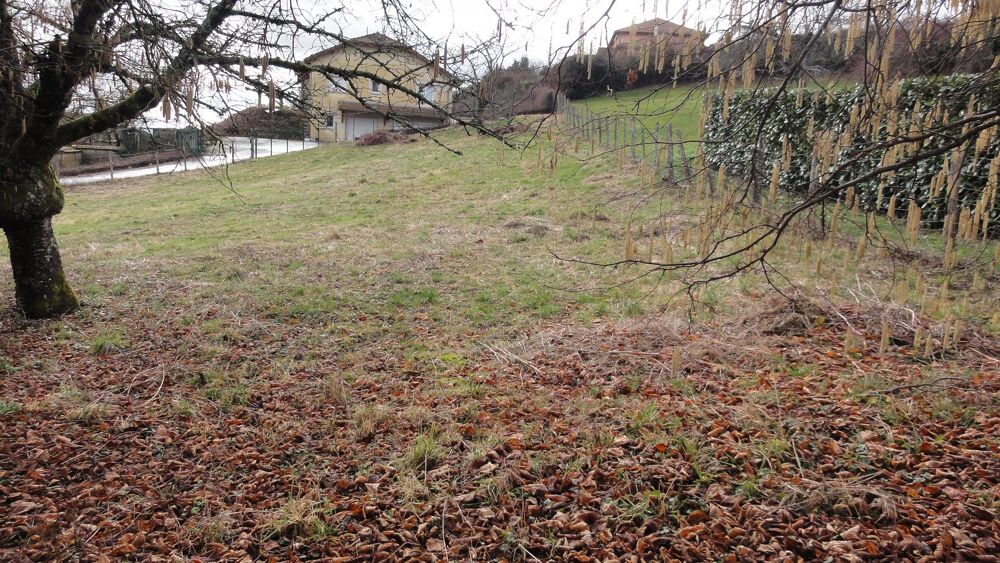 Vente Terrain Parcelle de terrain Colombe
