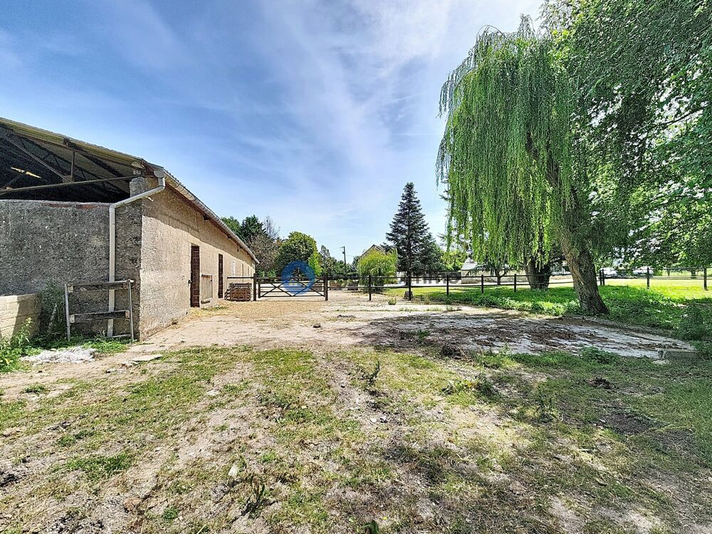 à vendre  Maison Neuillé-Pont-Pierre (37360)