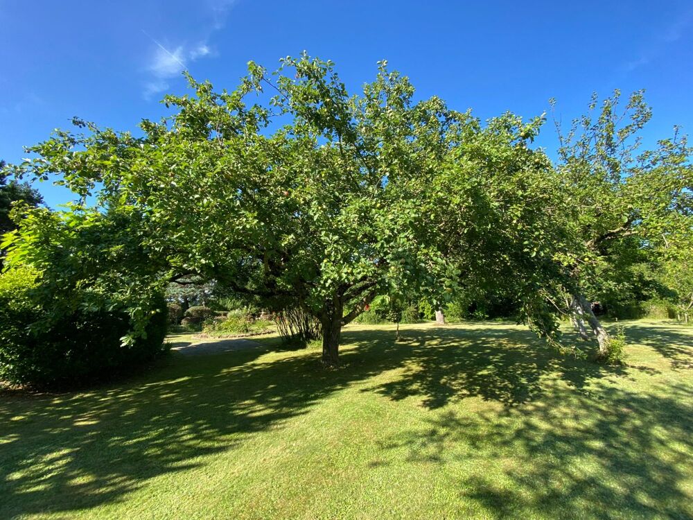 Vente Maison Maison- 166 m² - Parc arboré de 4 676 m² - Drulhe Drulhe