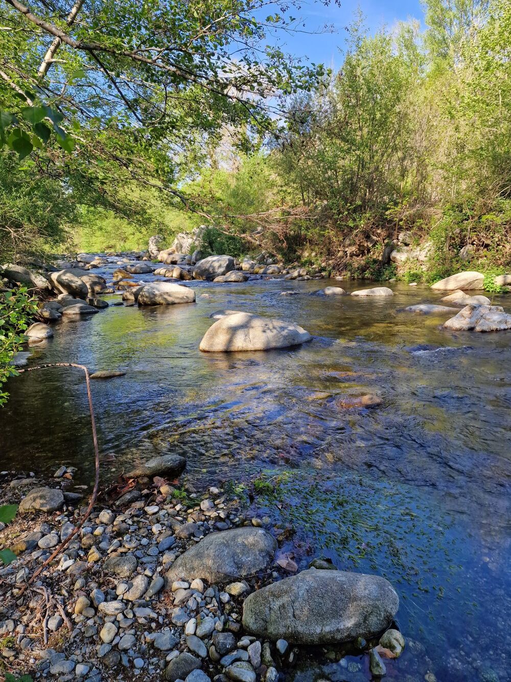 à vendre  Maison Arles-sur-Tech (66150)